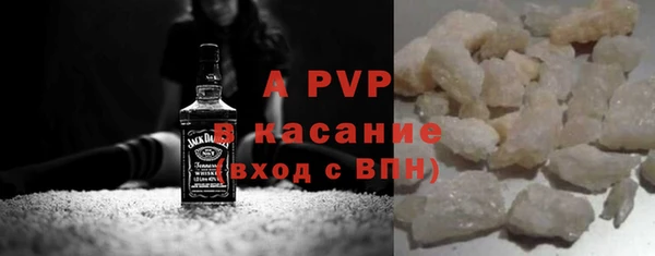 стаф Алзамай