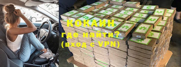стаф Алзамай